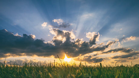 Vitamin D Deficiency & Covid-19