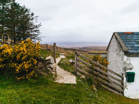 Chapter fifty-one: Dancing at Lughnasa