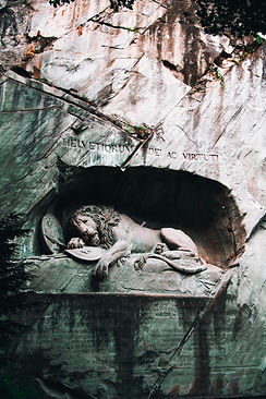 Image by Kasturi Roy