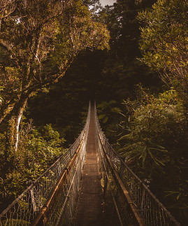 Image by Tyler Lastovich