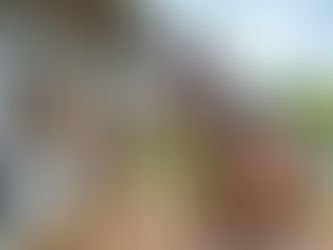 Selbstversorger oder Vollpension? Wie Pferdehalter die Balance zwischen Zeit und Kosten finden