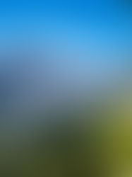 Leslea Wahl Four Part Books Series