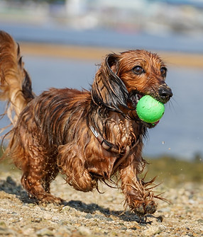 Image by Kojirou Sasaki