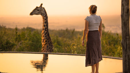 動物が知覚する世界