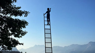 Conflict Amidst Chaos