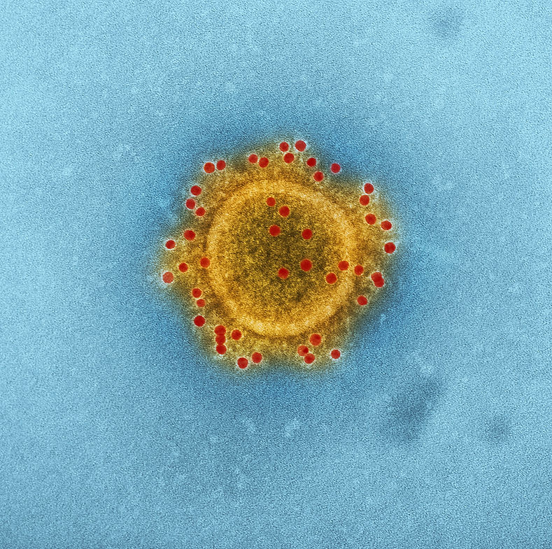 Image by CDC
