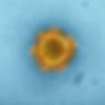 Image by CDC