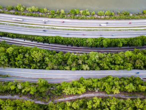 EB1A和EB1B同时申请可以吗?详解双路径移民策略的优势与风险