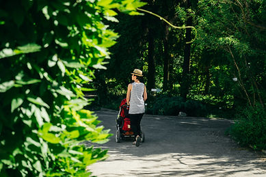 Image by Ostap Senyuk