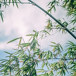 Ảnh của Minh Trí