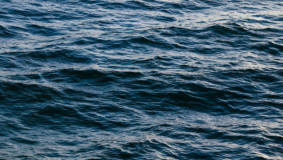 Image by Austin Neill