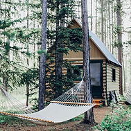Tiny House im Wald