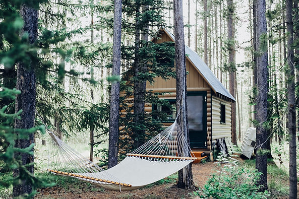Image by Cara Fuller