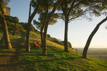ANDALUSIA LOCATIONS