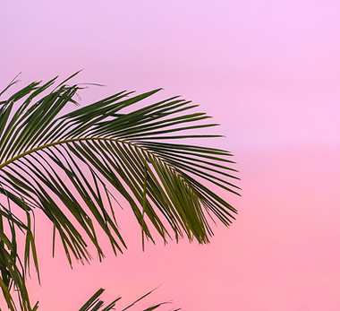 Image by Nathan Hurst