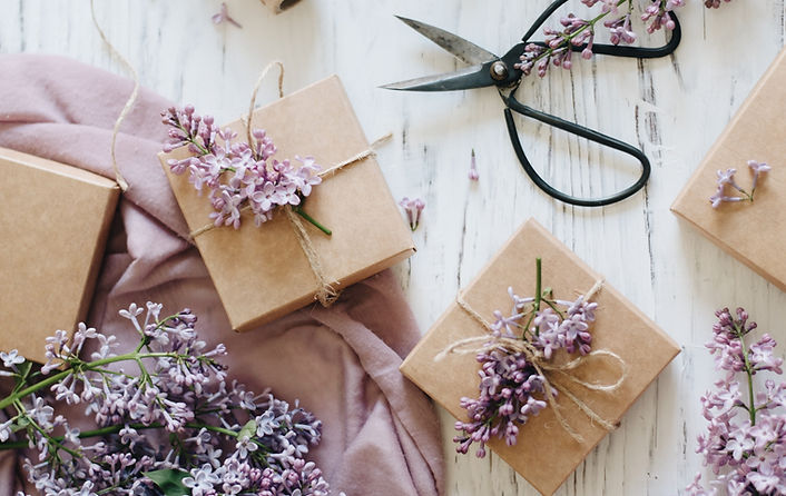 Image by Tetiana Shadrina