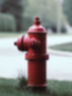 a fire hydrant, the iconic dog pee marking spot