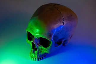 Image by Martin Engel
