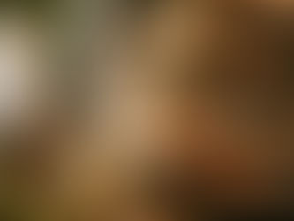 Joy in the Journey: A Misplaced Investment