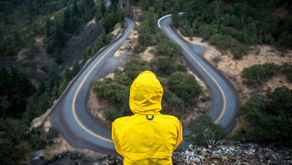 The Crossroads of Empathy and Compliance
