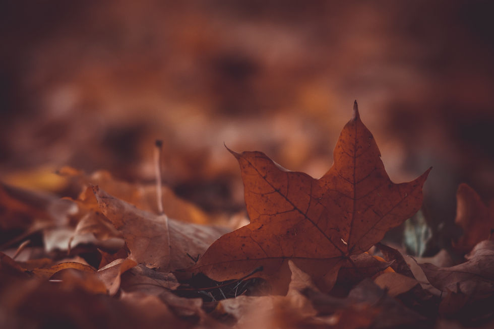 seasonal change and mood