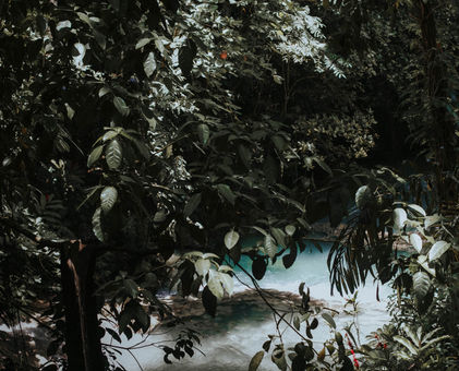 Dunn's River Falls and Park in Ocho Rios