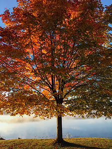 Image de Aaron Burden