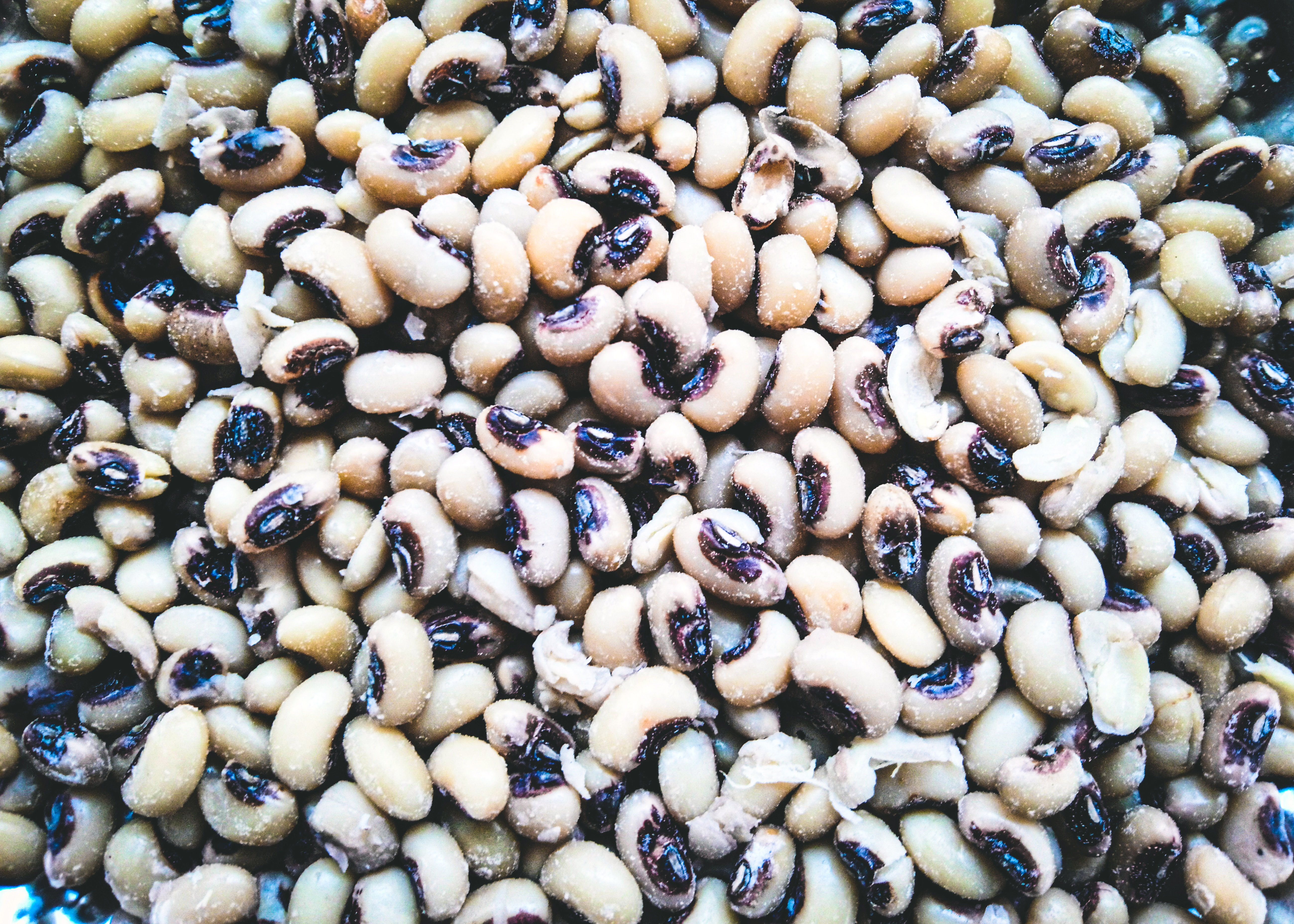 Coixzaad