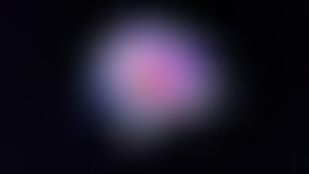 内言語と外言語