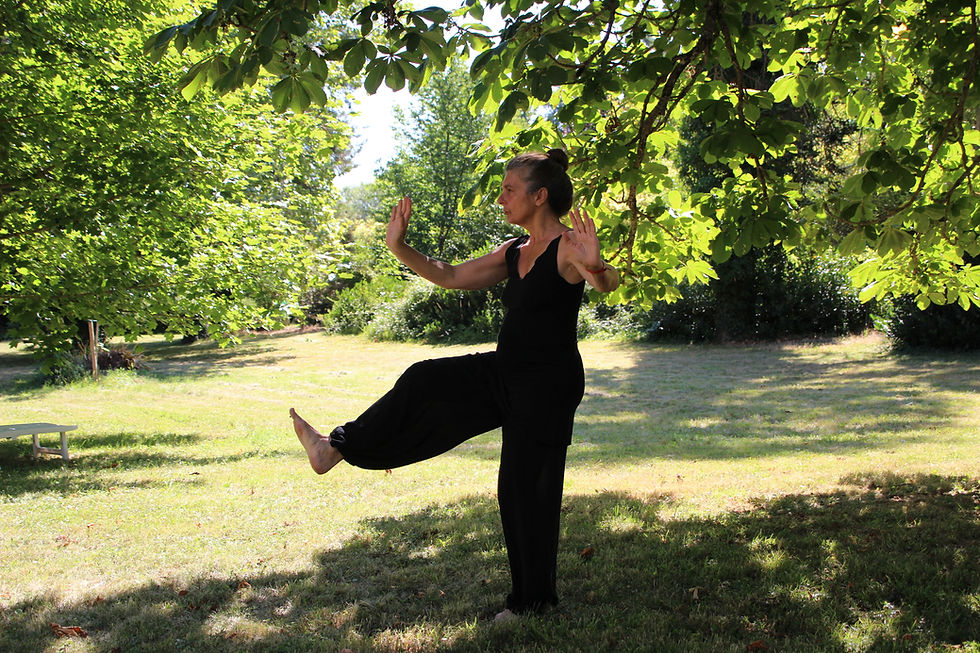 In-person Tuesday Qigong Practice - 6/30