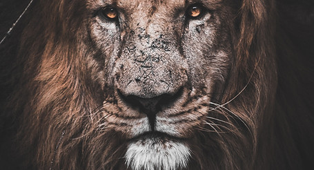 Image de Matthew Kerslake