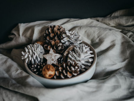 Holiday Gift Guide 2022