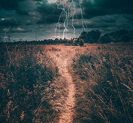 Image by Jonathan Bowers