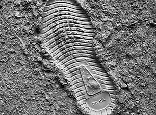 Image by George Evans