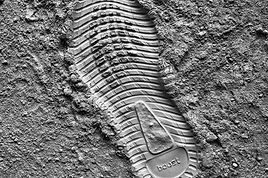Digital Footprint