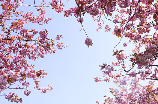 Image de Ruby Doan