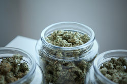 Image by Add Weed