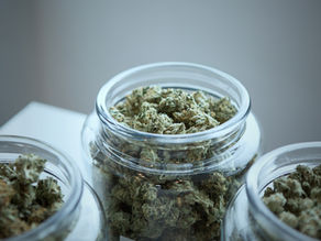 Buying OZ’s in the Legal Market