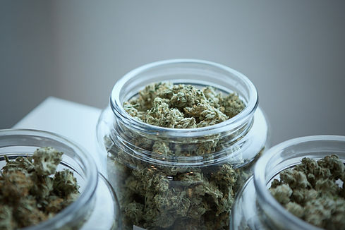 Image by Add Weed