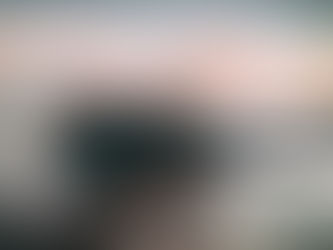 12.1.2026 - Pusti mreže sredi pisarne