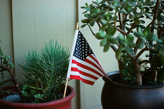 Image by Caleb Woods