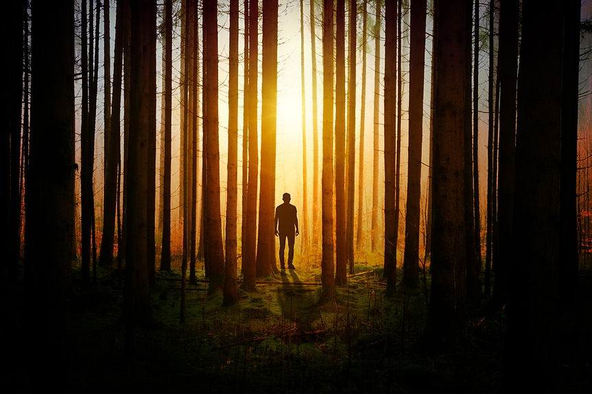 Image by Johannes Plenio