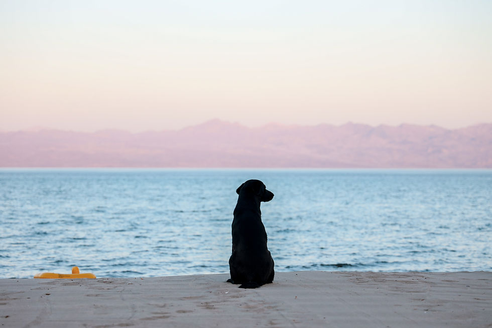 guard