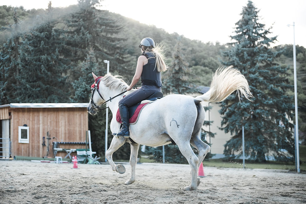 Riding Horse on Sunday: A Fun and Relaxing Hobby