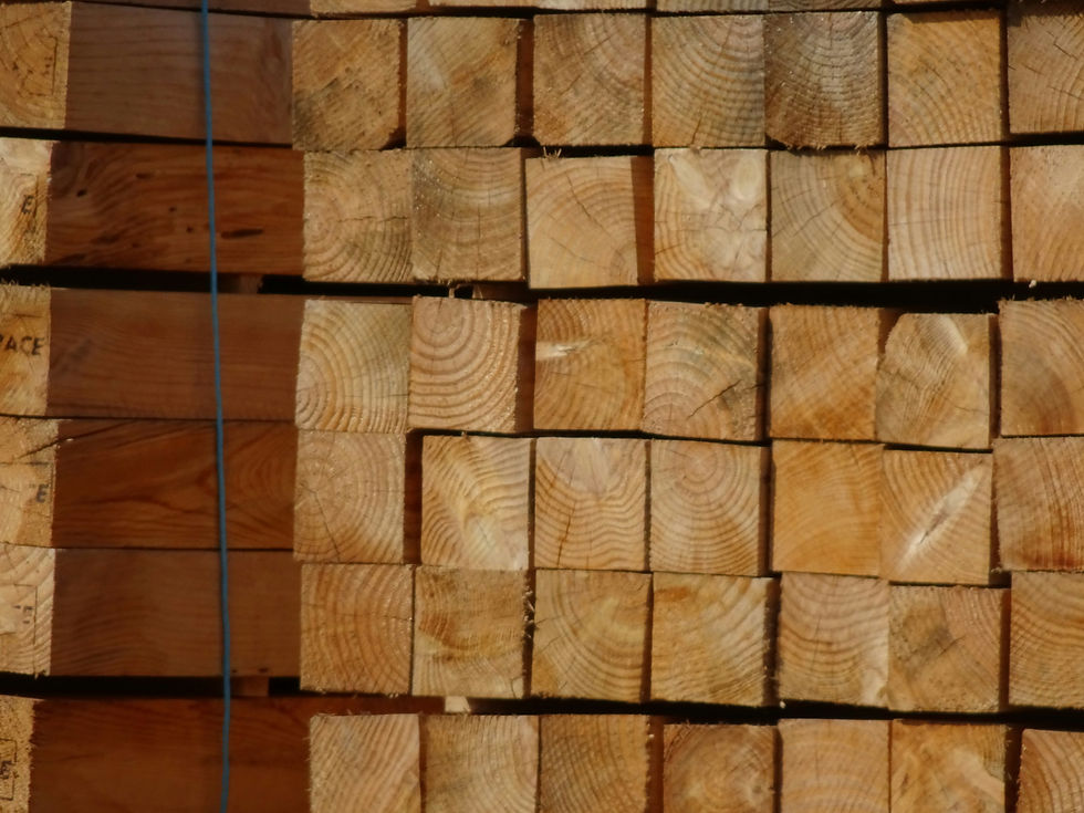 Image by Ludovico Ceroseis