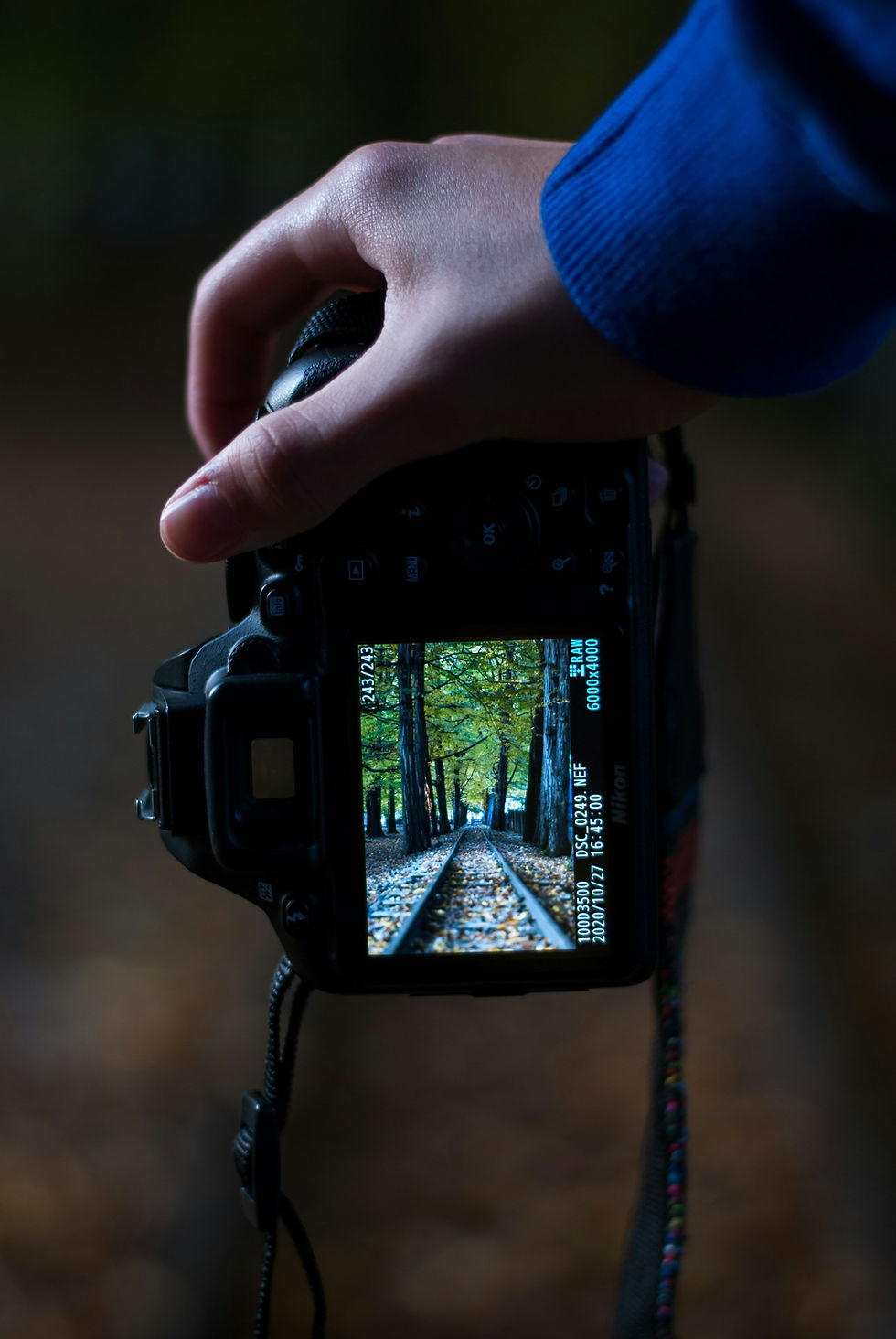 Close up of a camera screen taking photos of onetai estate