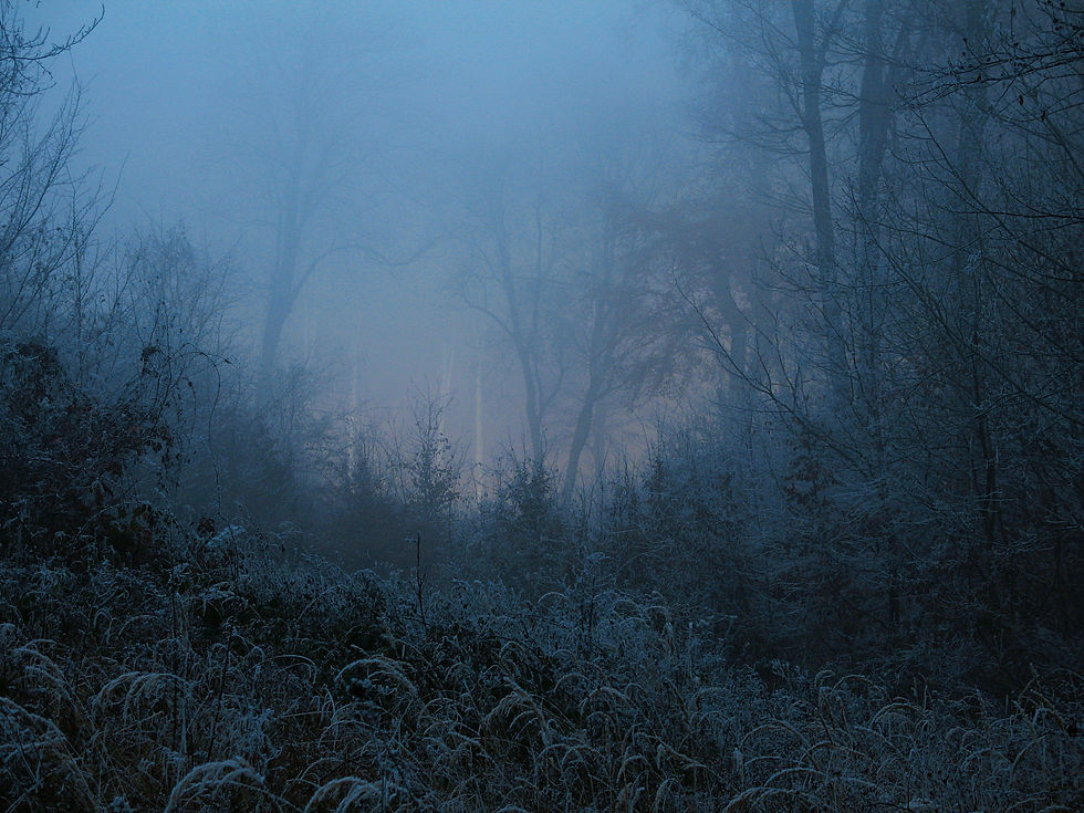 Image by Mihály Köles
