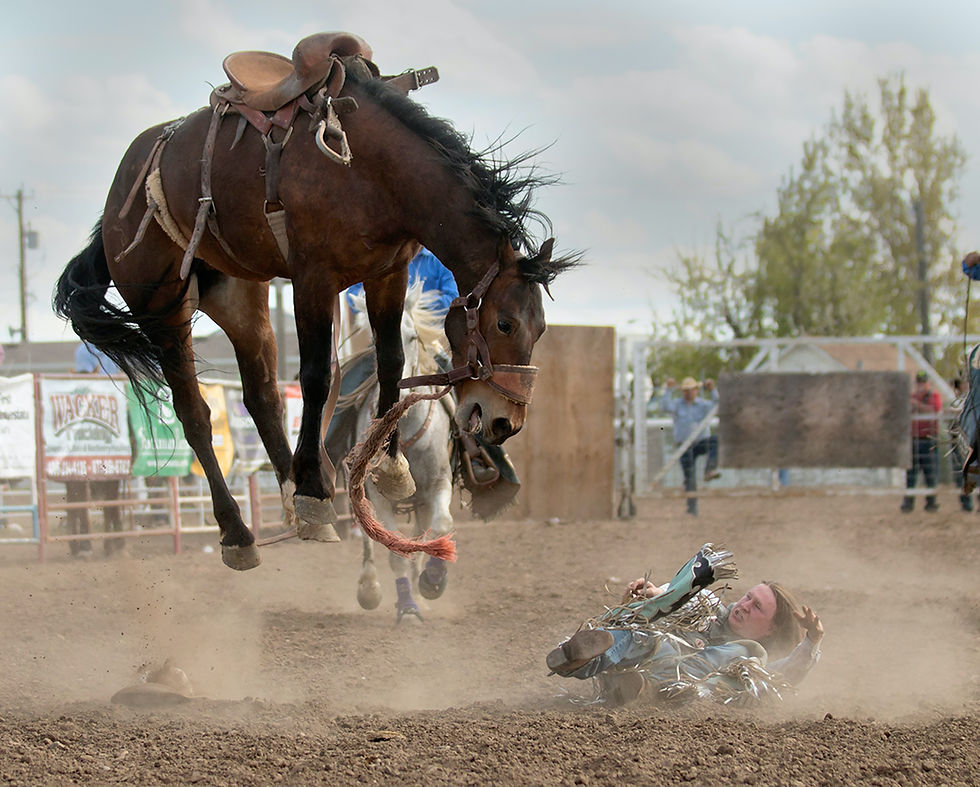 A cowboy getting bucked.