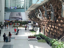 How NRIs can apply for e-Gate at Indian airports – and why Aadhaar can’t be used as proof