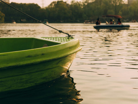 Marketing the Rappahannock River: Smallmouth, Shad, Striped Bass, and the Tidal Crossover
